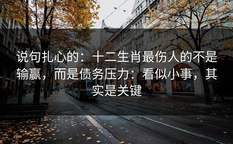 说句扎心的：十二生肖最伤人的不是输赢，而是债务压力：看似小事，其实是关键