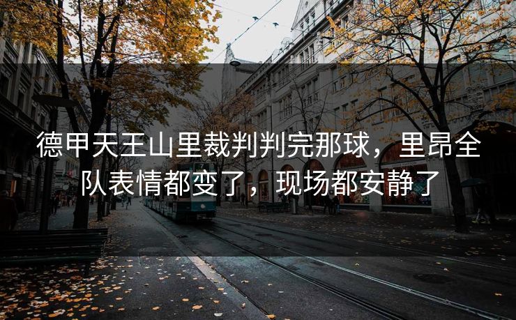 德甲天王山里裁判判完那球,里昂全队表情都变了,现场都安静了 德甲天王山里裁判判完那球,里昂全队表情都变了,现场都安静了